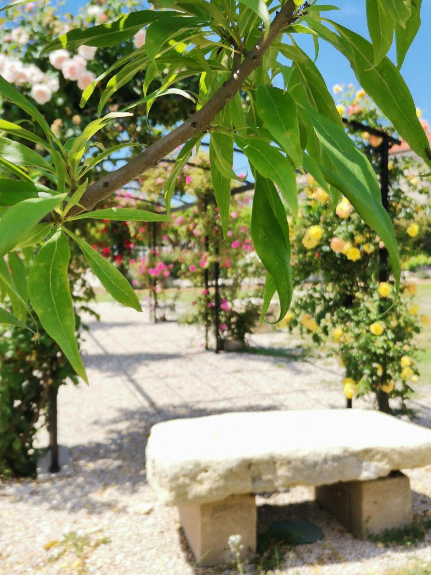 Gîte en Provence Modene Exterior foto